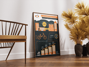 Photo d'un poster de la datavisualisation modulo